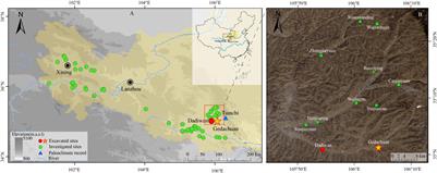 Shift in subsistence crop dominance from broomcorn millet to foxtail millet around 5500 BP in the western Loess Plateau